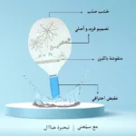 ⁦Raquette de Beach Pro - مضرب بحري خشبي⁩ - الصورة ⁦3⁩